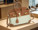 https://cdn.shopifycdn.net/s/files/1/0895/7945/4737/files/WILLOW_ELEGANT_BAG-1.png?v=1728621358
