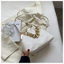 https://cdn.shopifycdn.net/s/files/1/0669/3876/5628/files/Carauana-UNIU-SILVER-GOLD-Knitted-Crossbody-Bag-Fashion-Satchel-NEW-2024-Collection-49.webp?v=1729464517