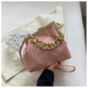 https://cdn.shopifycdn.net/s/files/1/0669/3876/5628/files/Carauana-UNIU-SILVER-GOLD-Knitted-Crossbody-Bag-Fashion-Satchel-NEW-2024-Collection-38.webp?v=1729464487