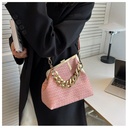https://cdn.shopifycdn.net/s/files/1/0669/3876/5628/files/Carauana-UNIU-SILVER-GOLD-Knitted-Crossbody-Bag-Fashion-Satchel-NEW-2024-Collection-24.webp?v=1729464447