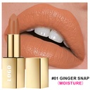 跨境定制无LOGO现货滋润高保湿唇膏口红丰唇补水持妆珠光滋润口红