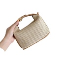 Braided Bag